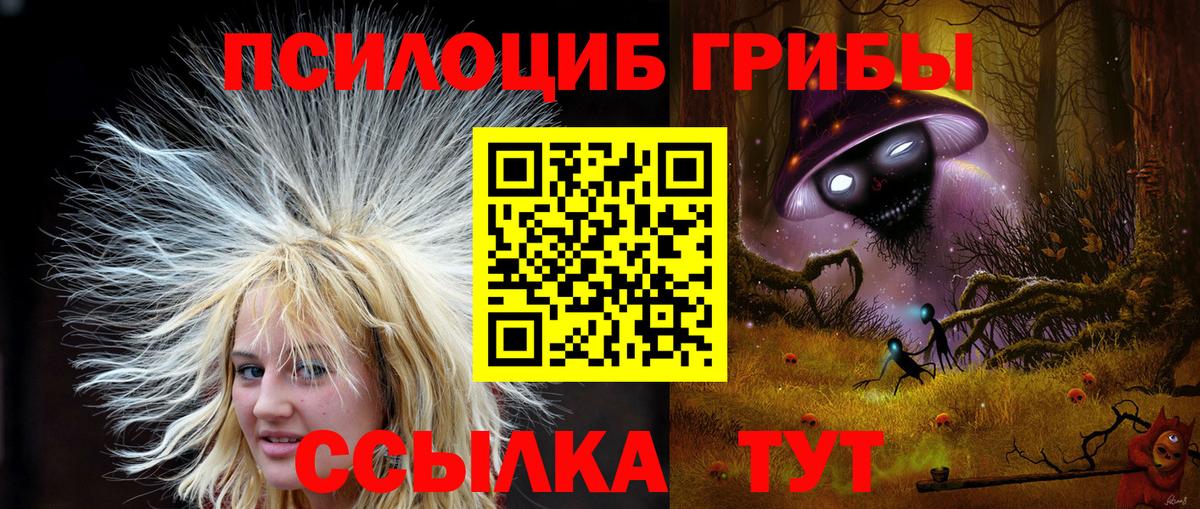 Томск  Псилоцибиновые грибы ЛСД  Вход с VPN 