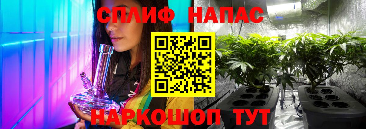 Каннабис OG Kush Томск